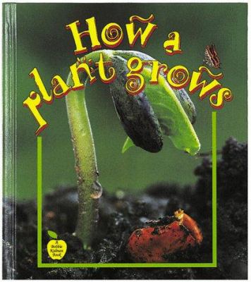 How a plant grows