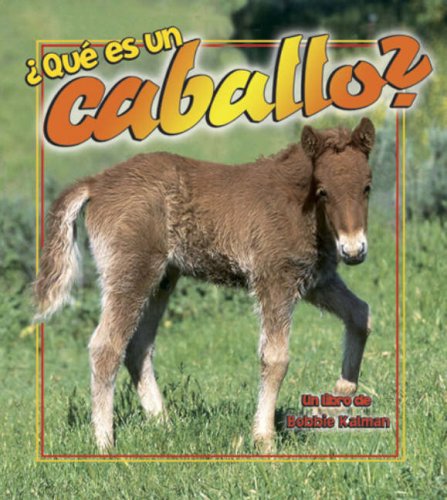 Que es un caballo?