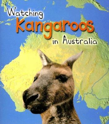 Watching kangaroos in Australia