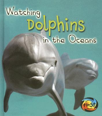 Watching dolphins in the oceans