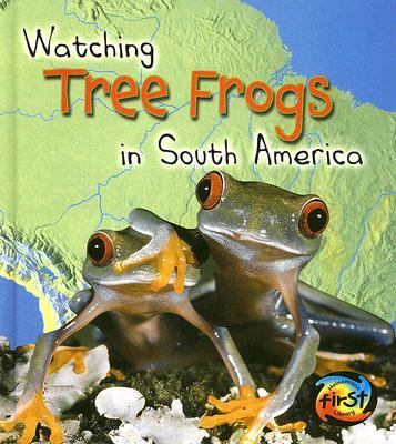 Watching tree frogs in South America