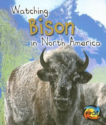 Watching bison in North America