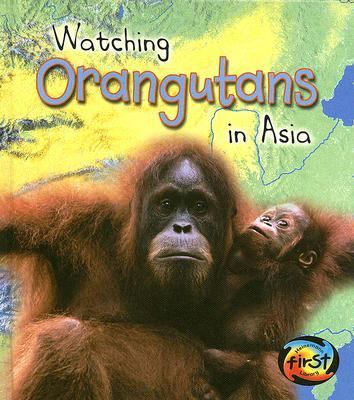 Watching orangutans in Asia