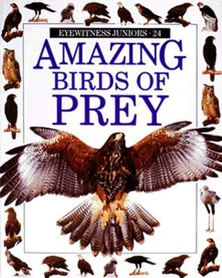 Amazing birds of prey