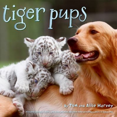 Tiger pups