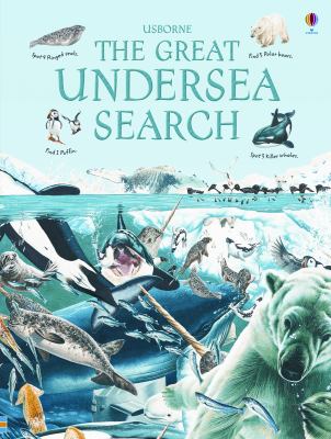 The great undersea search