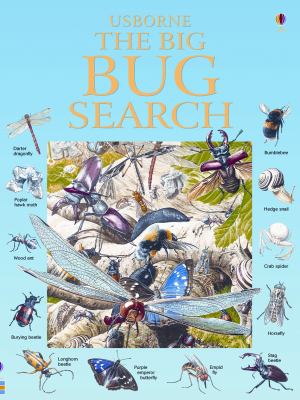 The big bug search