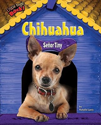 Chihuahua : senor tiny