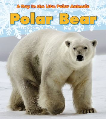 Polar bear