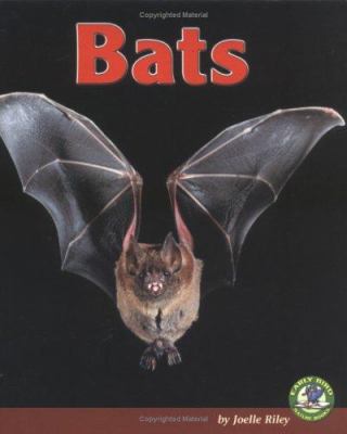 Bats