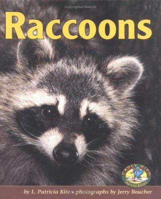 Raccoons