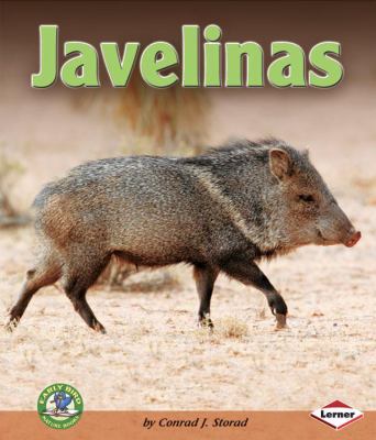 Javelinas