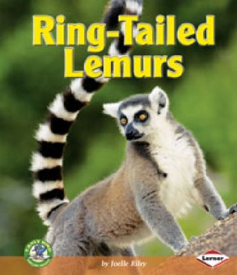 Ring-tailed lemurs