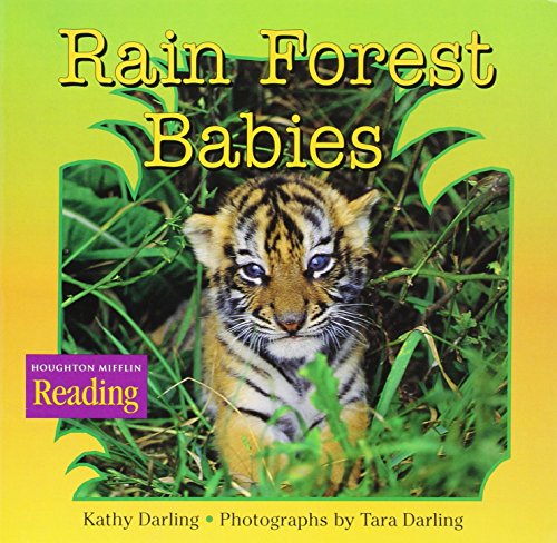 Rain forest babies
