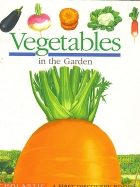 Vegetables in the garden