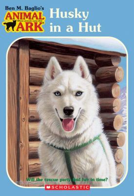 Husky in a hut