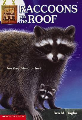 Raccoons on the roof