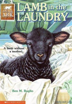 Lamb in the laundry