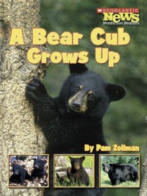 A bear cub grows up