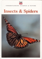 Insects & spiders