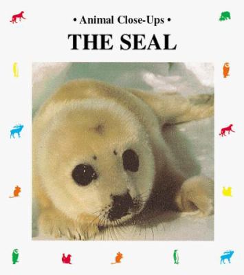 The seal, furry swimmer