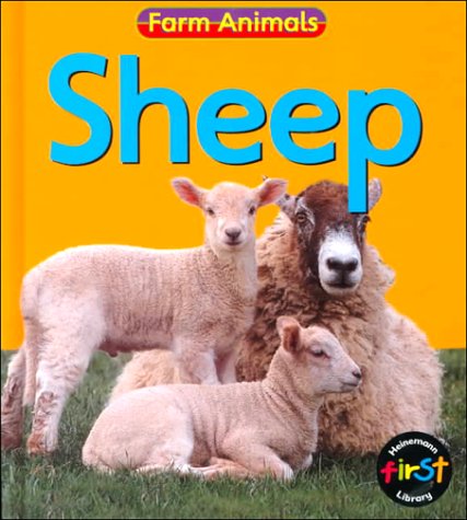 Sheep