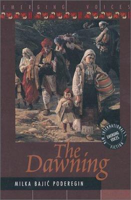 The dawning : a novel