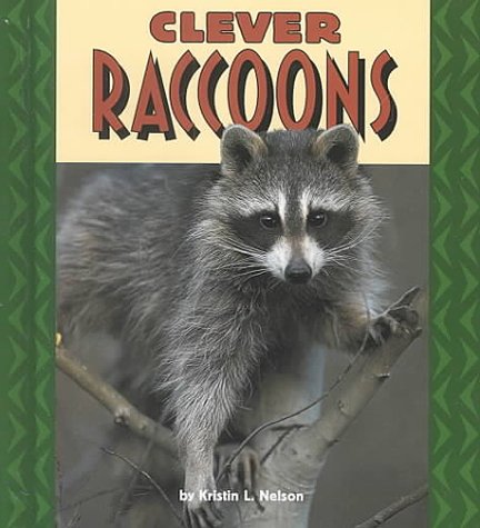 Clever raccoons