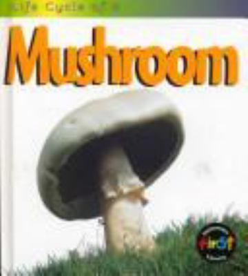 Life cycle of a mushroom