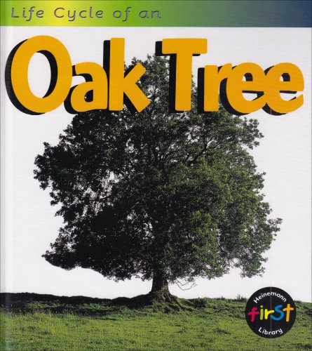 Life cycle of an oak tree