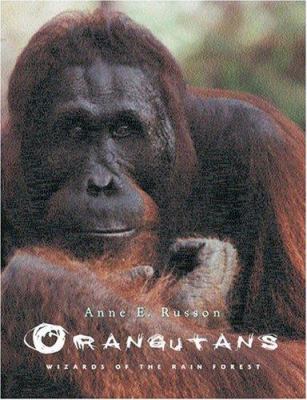 Orangutans : wizards of the rain forest