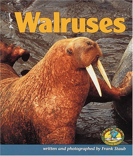 Walruses