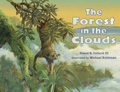 The forest in the clouds