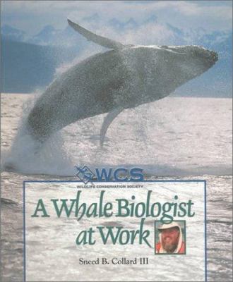 A whale biologist at work