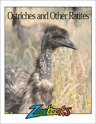 Ostriches & other ratites