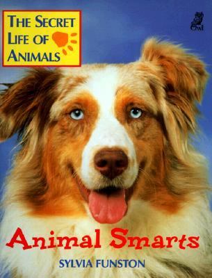 Animal smarts