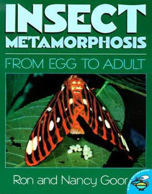 Insect metamorphosis : from egg to adult