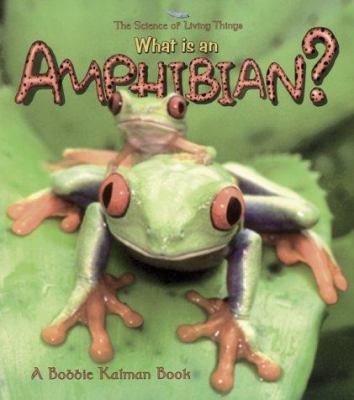 What is an amphibian?