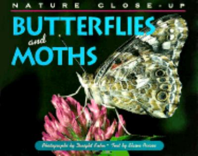 Butterflies and moths