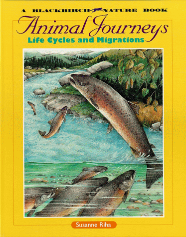 Animal journeys : life cycles and migrations
