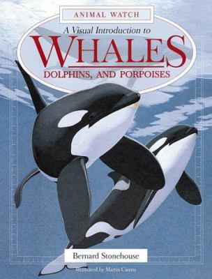 A visual introduction to whales, dolphins, and porpoises