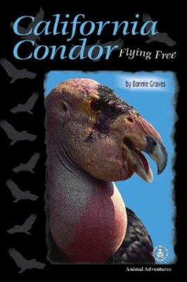 California condor : flying free