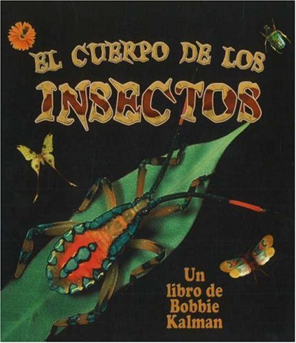 El cuerpo de los insectos