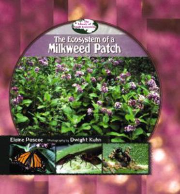 The ecosystem of a milkweed patch