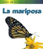 Ciclo de vida de la mariposa