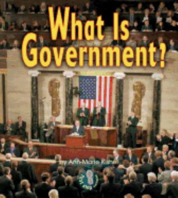 What is government?