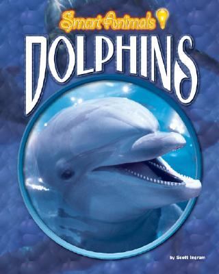 Dolphins