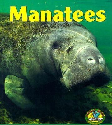 Manatees