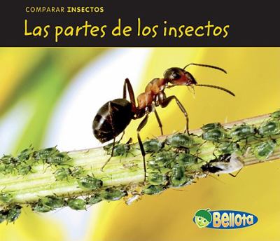 Las partes de los insectos