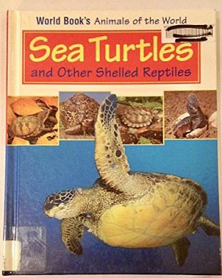 Sea turtles and other shelled reptiles.